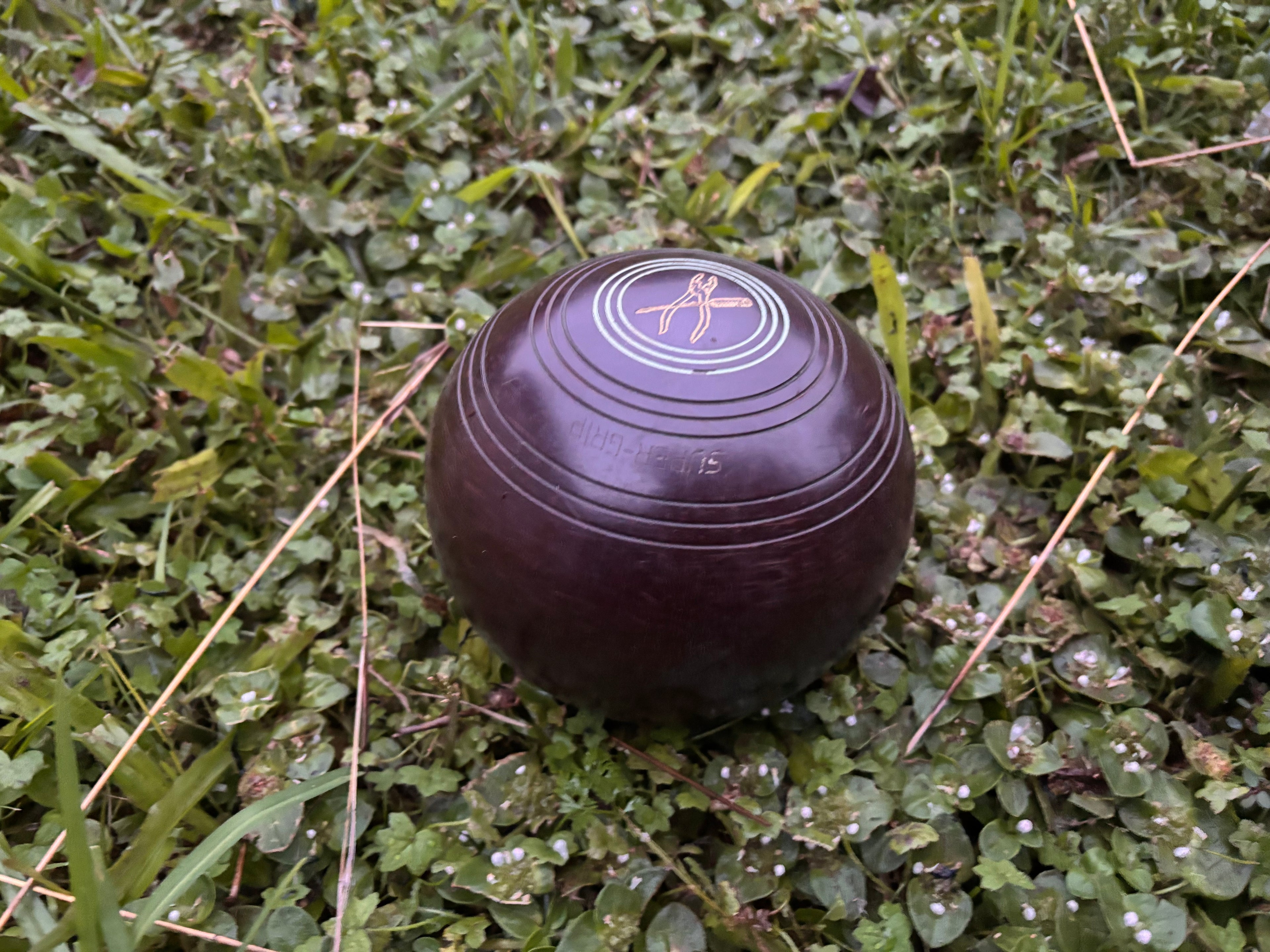 Vintage Lawn Bowl Set