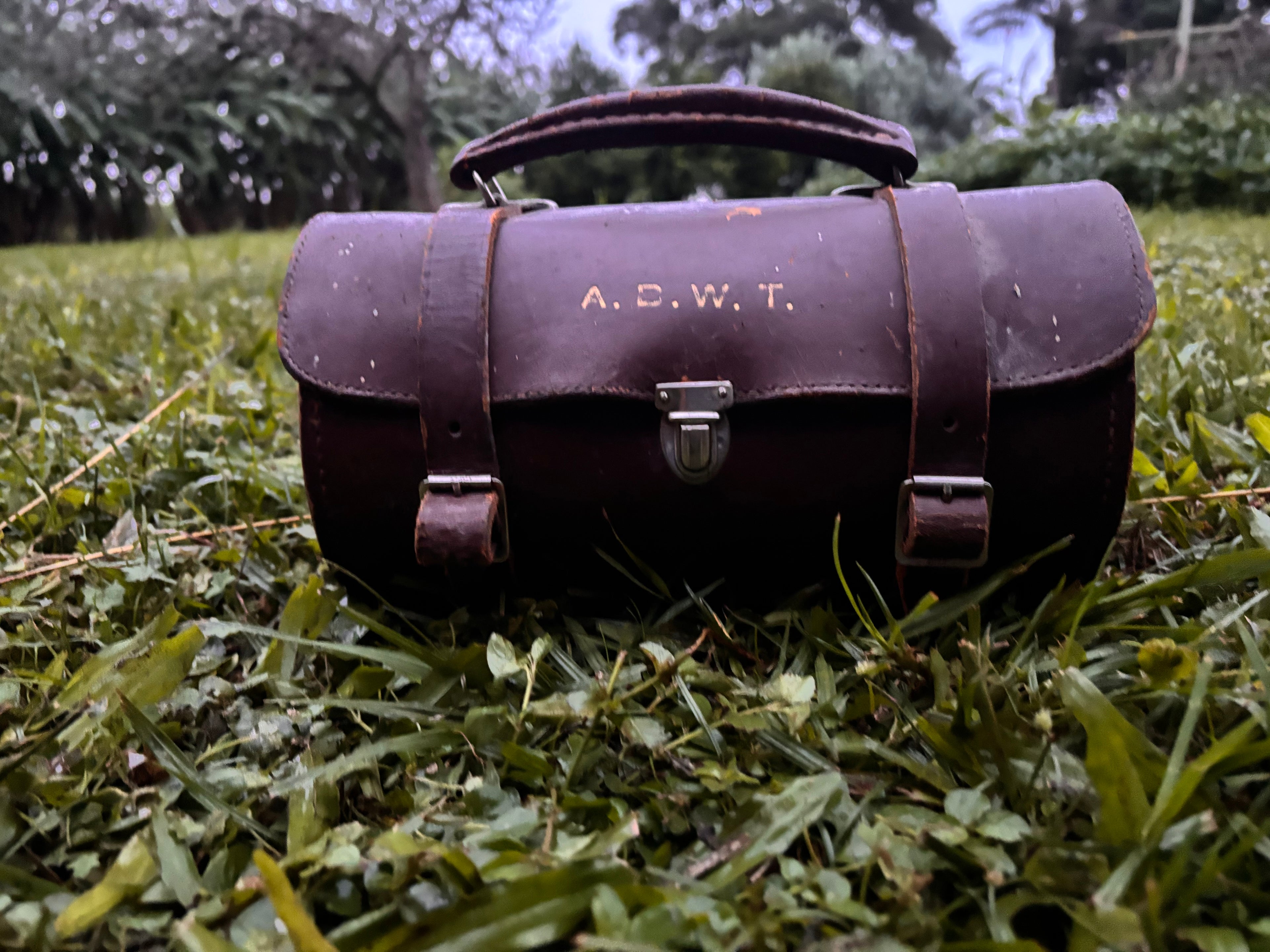 Vintage Lawn Bowl Set