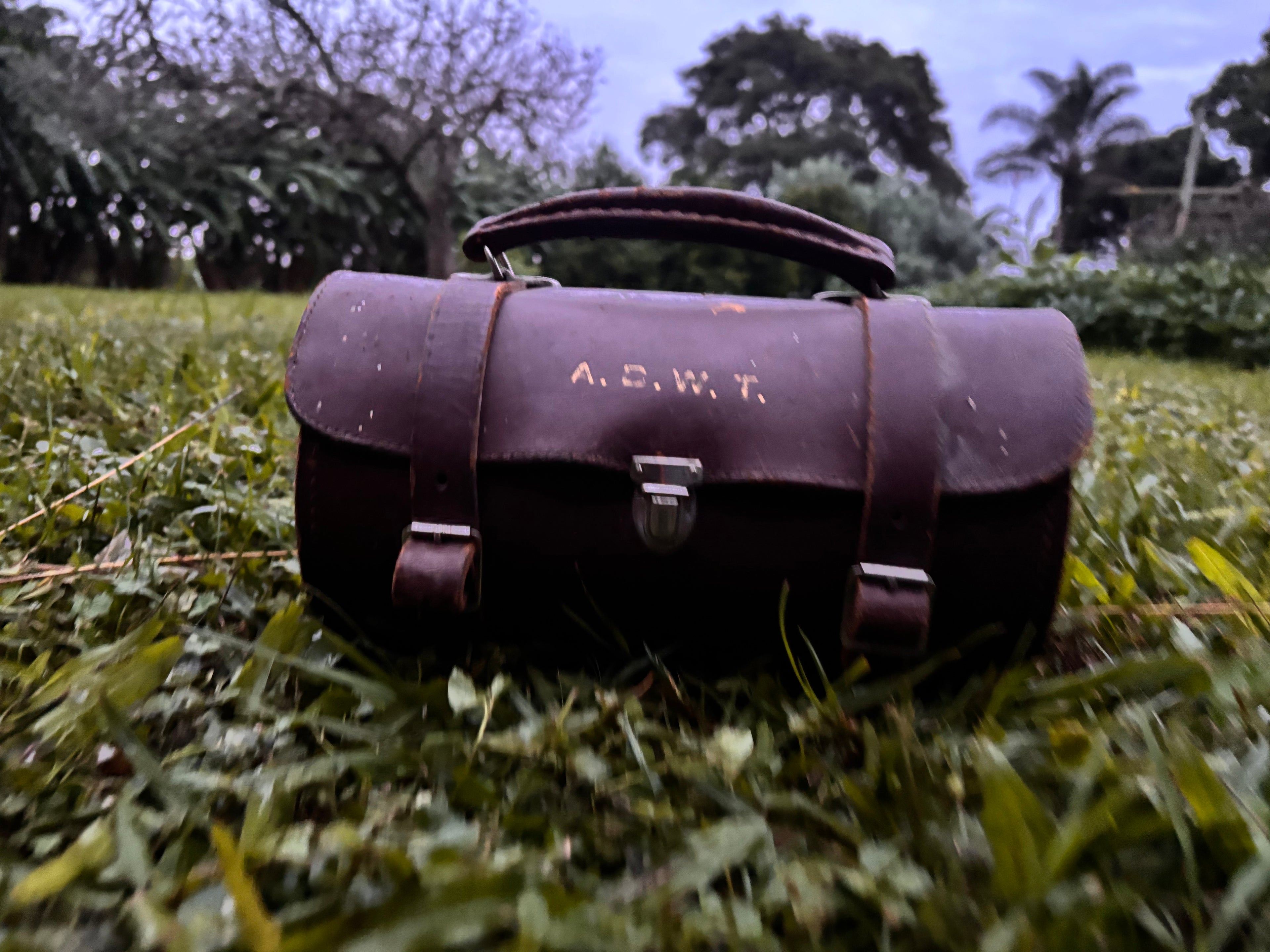 Vintage Lawn Bowl Set