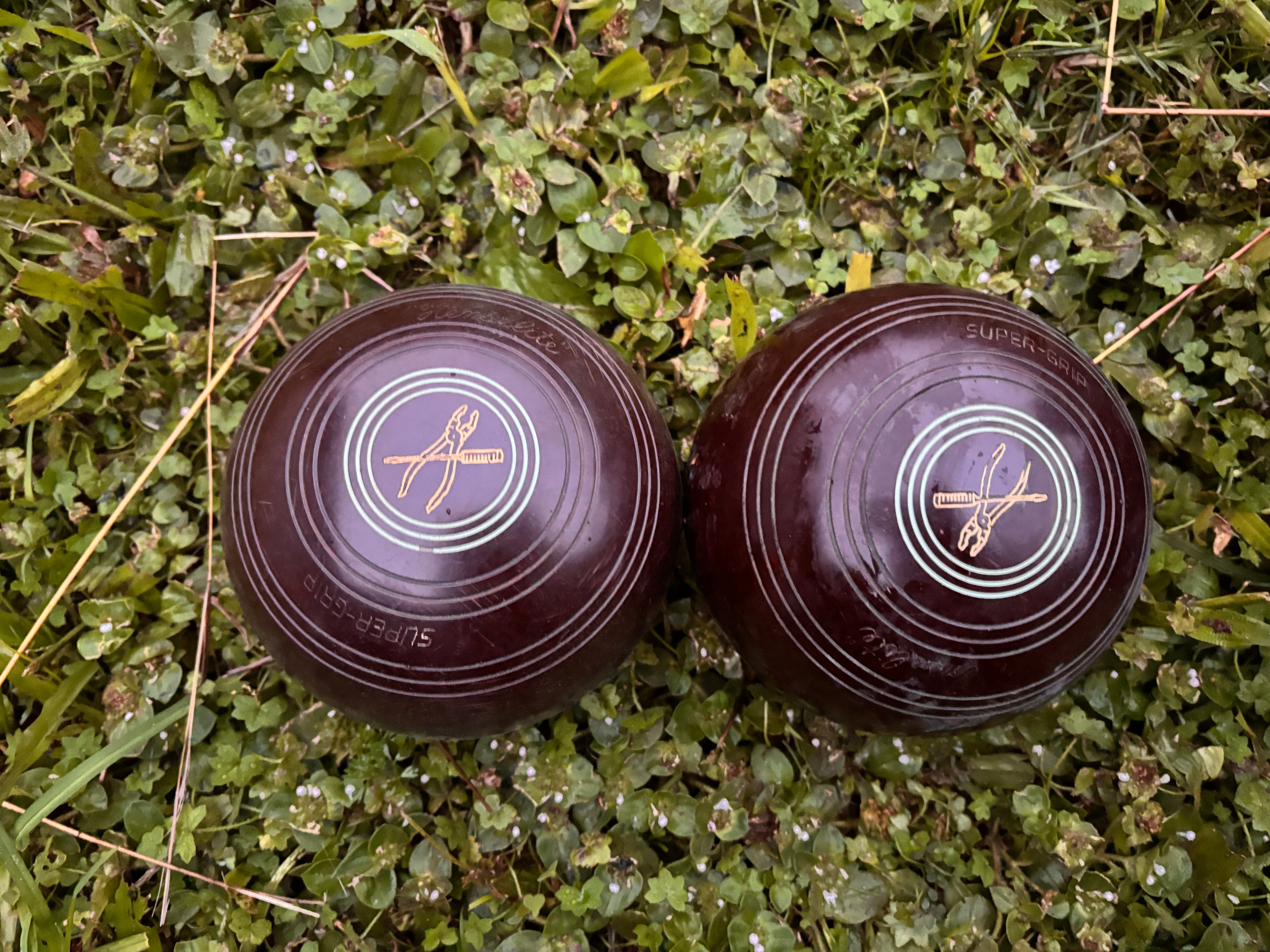 Vintage Lawn Bowl Set