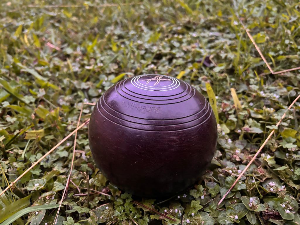 Vintage Lawn Bowl Set