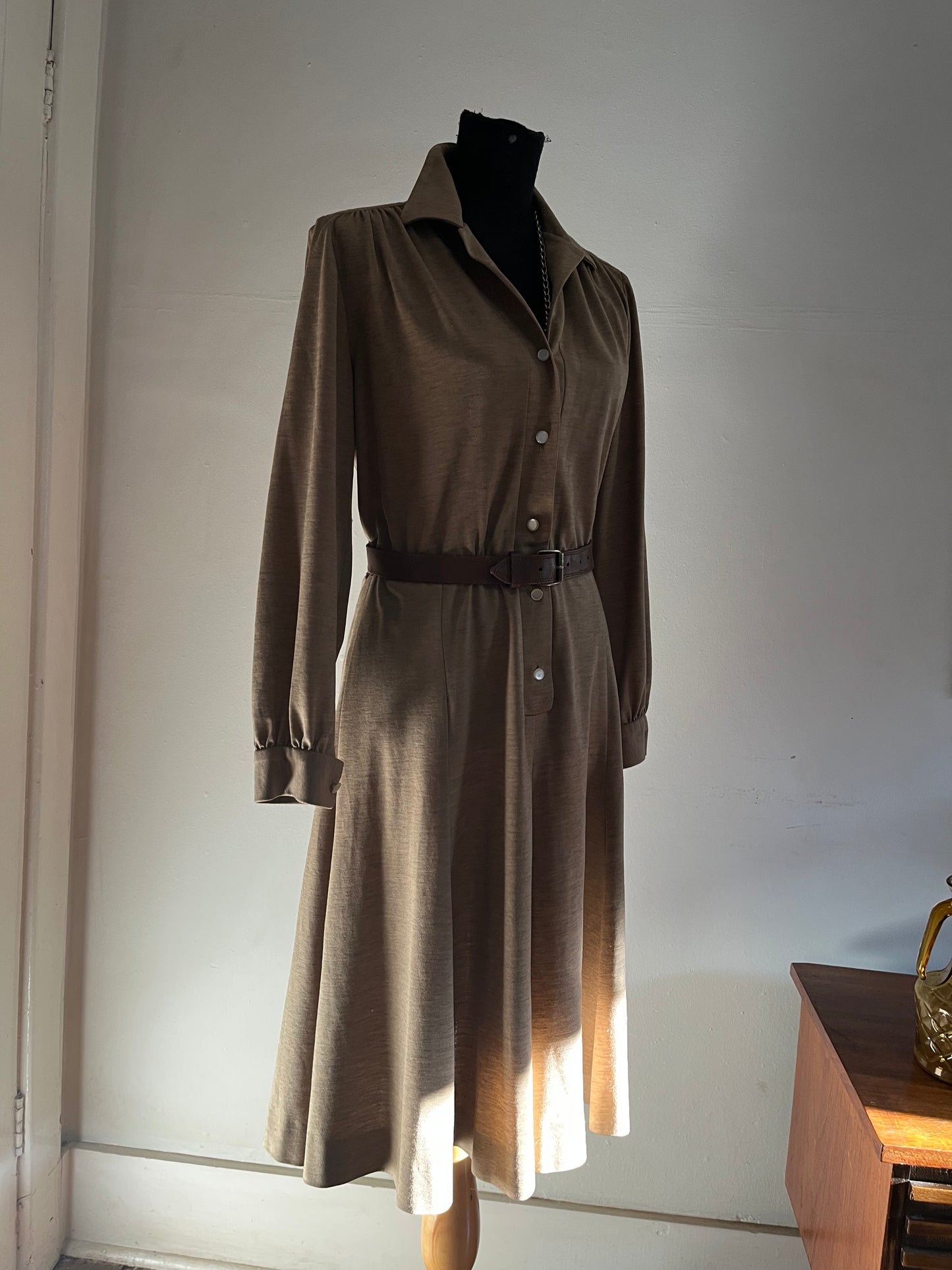 Vintage Button Down Dress