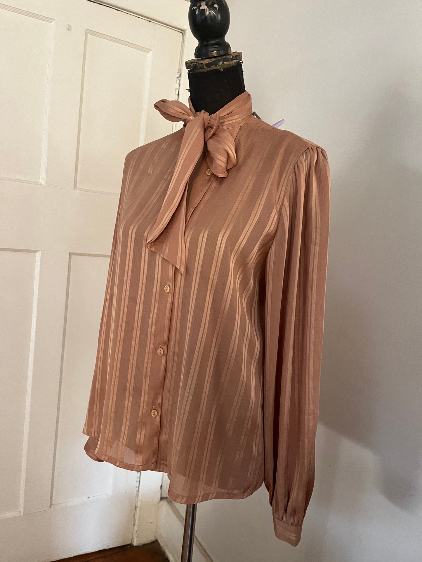 Brown Long-Sleeved Blouse